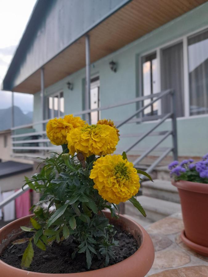 Kera Guest House Kazbegi Bagian luar foto